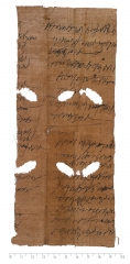 P.Flor.141v.jpg