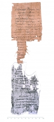 P.Flor.216r.jpg