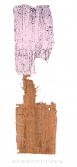 P.Flor.216v.jpg