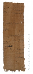 P.Flor.244v.jpg