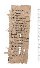 P.Prag. I 116 r.jpg