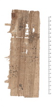 P.Prag. I 116 v.jpg