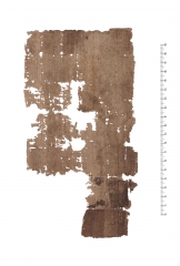 P.Prag. II 155 v.jpg