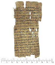 PSI VII 775 r.jpg