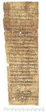 PSI VII 835 r.jpg