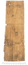 PSI VII 835 v.jpg