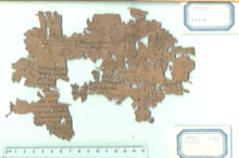 PSI XI 1192 r.jpg