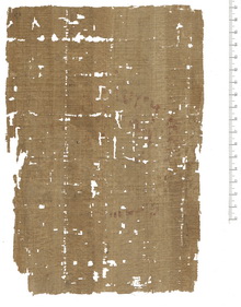 PSI XIII 1324 v.jpg