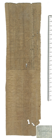 PSI XIII 1342 v.jpg