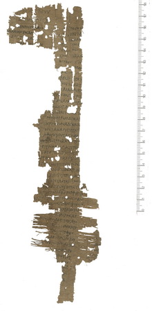 PSI XIV 1391 r.jpg