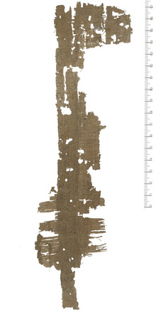 PSI XIV 1391 v.jpg
