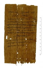 PSI inv. 4264 r.jpg