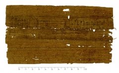 PSI inv. 4264 v.jpg
