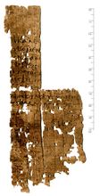 PSI_inv.1210_r.jpg