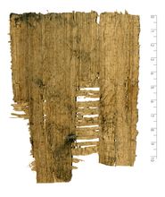 PSI_inv.133_v.jpg