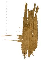 PSI_inv.168_v.jpg