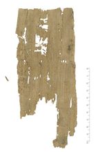 PSI_inv.1737_v.jpg