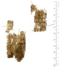 PSI_inv.1820_v.jpg