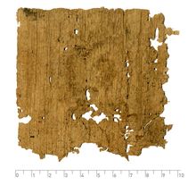 PSI_inv.190_v.jpg