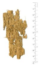 PSI_inv.2222_v.jpg
