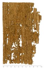 PSI_inv.280_v.jpg