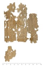 PSI_inv.368_v.jpg