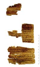 PSI_inv.3791_v.jpg