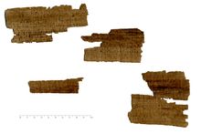 PSI_inv.3795_r.jpg