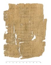 PSI_inv.379_v.jpg