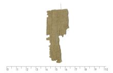 PSI_inv.591_v.jpg