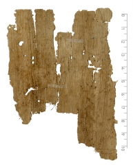 PSI_inv_4182_v018.jpg